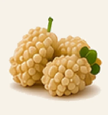 White Mulberry